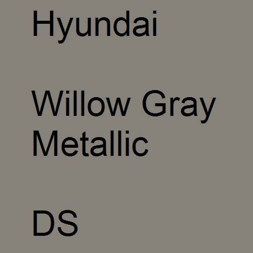 Hyundai, Willow Gray Metallic, DS.